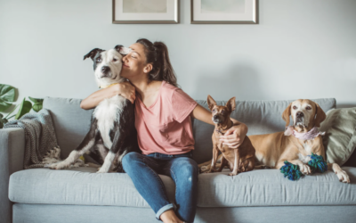 Les Tendances des Mutuelles pour Animaux de Compagnie en 2025 : Ce que Vous Devez Savoir